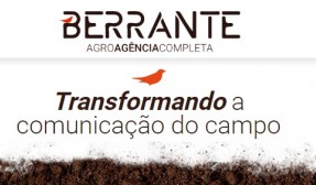 Berrante Comunicação : Brand Short Description Type Here.